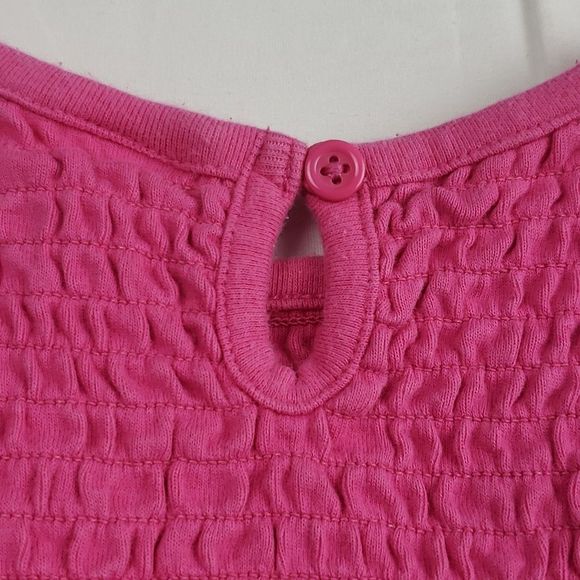 Gymboree Girls 18-24 Month Pink Dress - Picture 5 of 6